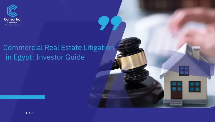 Commercial Real Estate Litigation in Egypt