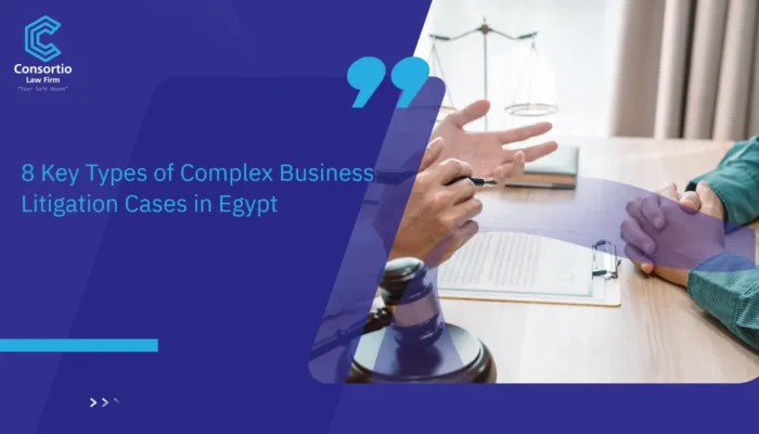 Complex Business Litigation Cases in Egypt