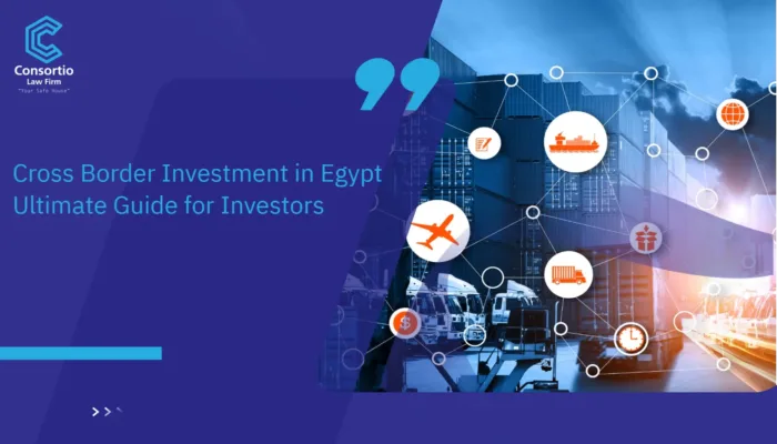 Cross Border Investment