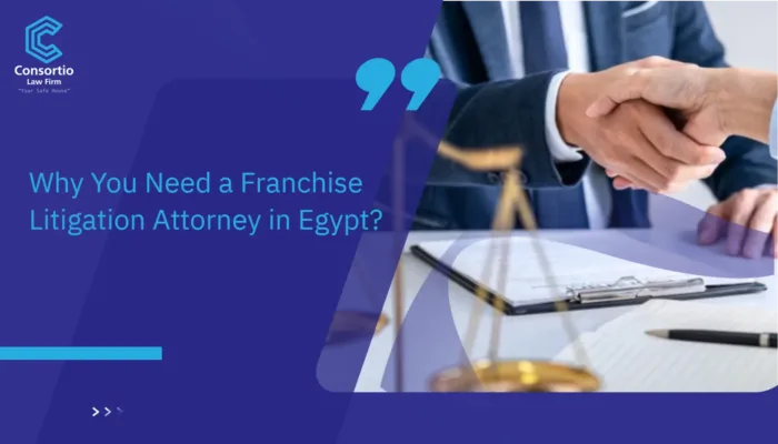 Franchise Litigation Attorney