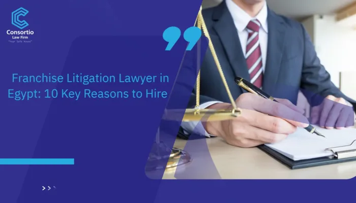 Franchise Litigation Lawyer in Egypt