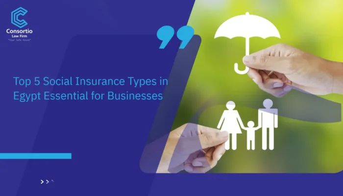 Social Insurance Types in Egypt