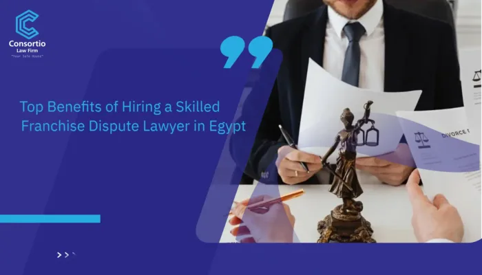 Franchise Dispute Lawyer in Egypt
