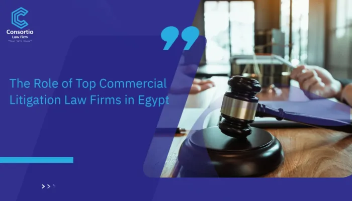 Top Commercial Litigation Law Firms in Egypt