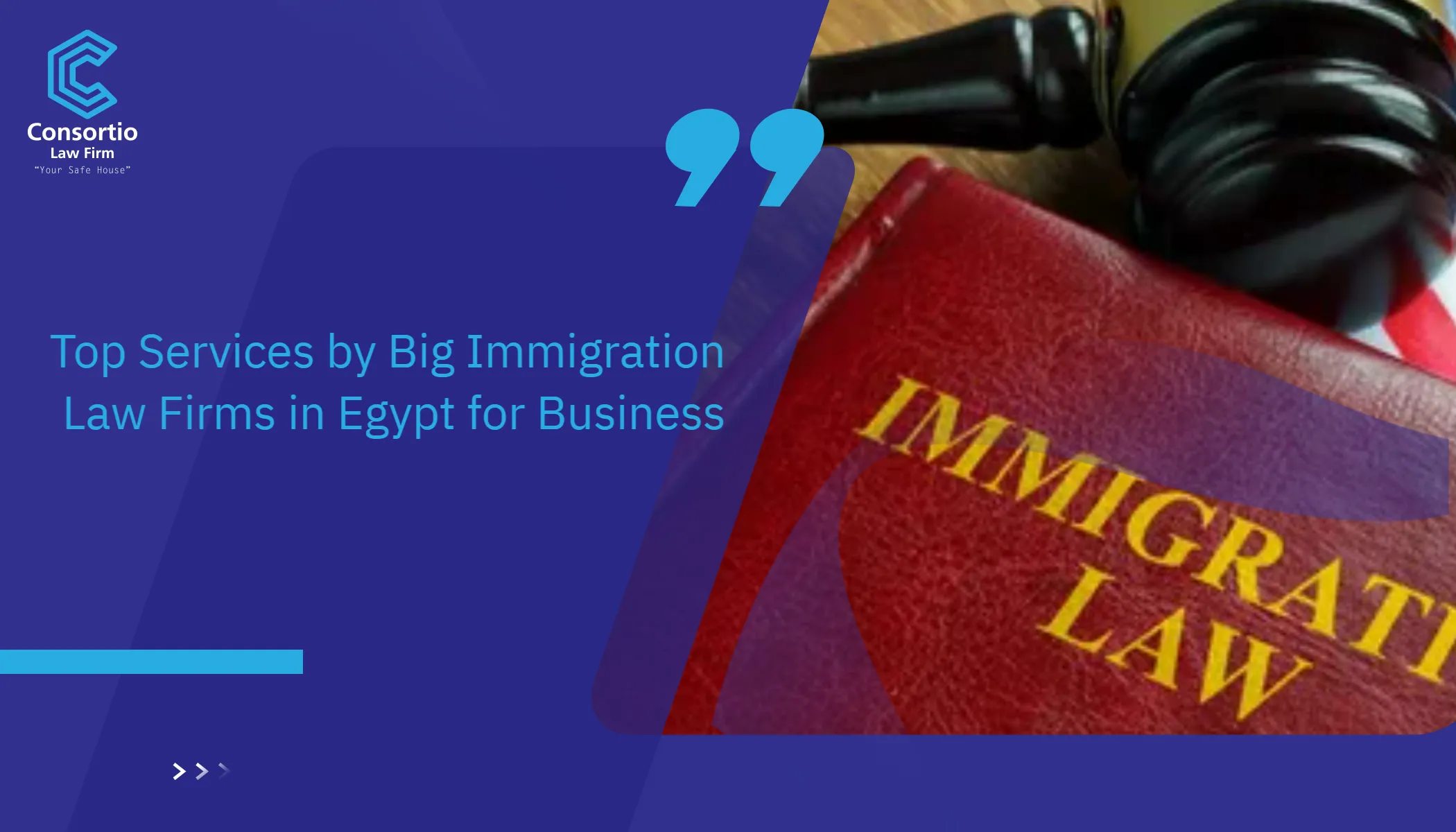 Immigration Law Firms in Egypt