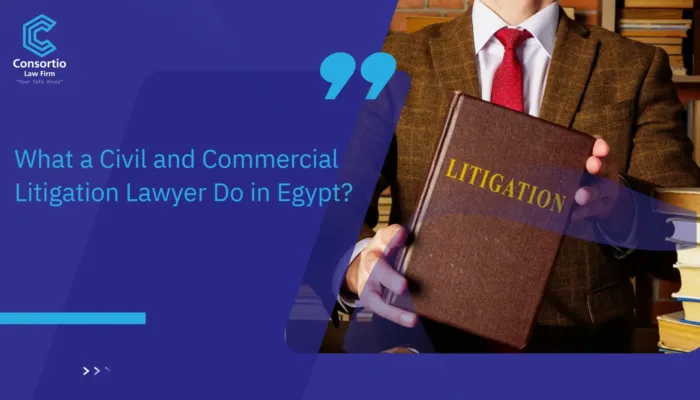 Civil and Commercial Litigation Lawyer