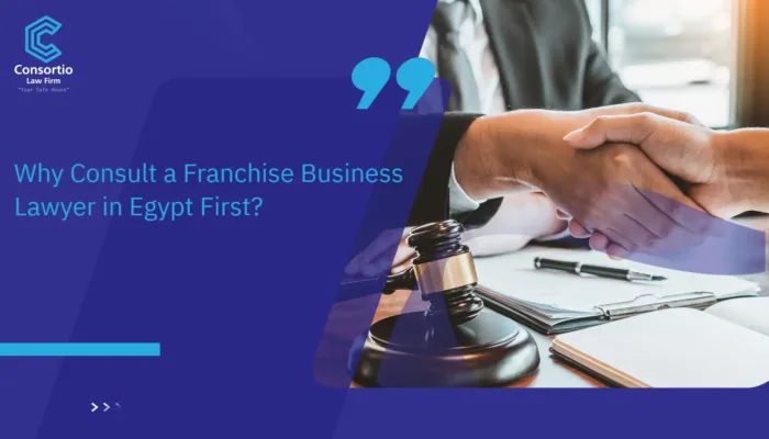 Franchise Business Lawyer