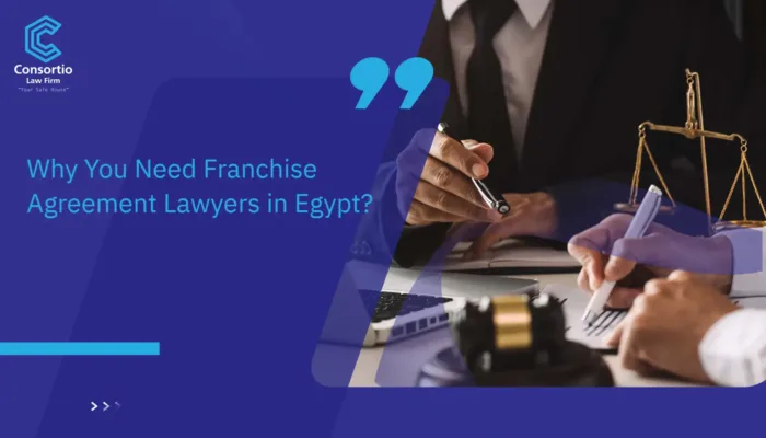Franchise Agreement Lawyers in Egypt