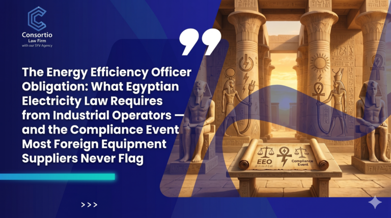 Energy Efficiency Officer obligation (Article 48)